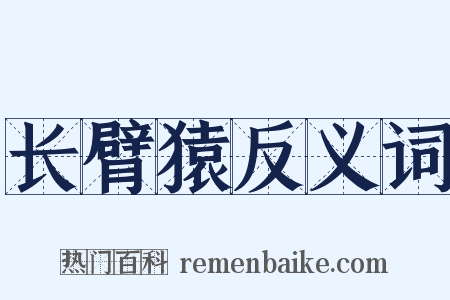 长臂猿反义词是什么意思的图片